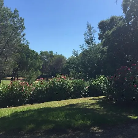 Cap 115 * Saint-Raphael (Var)